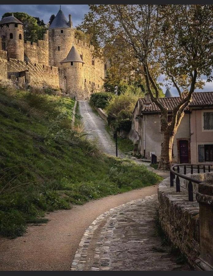 Maison Petite Cote Carcassonne Exterior photo